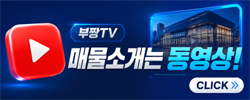 배너